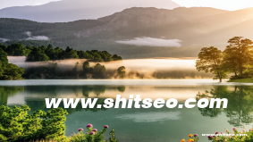 張家界網絡推廣策略與實施方案，助力本地企業脫穎而出