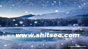 網(wǎng)絡(luò)營銷優(yōu)化公司：提升企業(yè)在線競爭力的關(guān)鍵伙伴