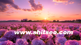 小紅書企業推廣，打造獨特的品牌形象