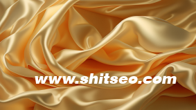 網站優化文章怎么寫