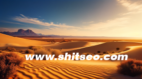 什么是表單設(shè)計(jì)器