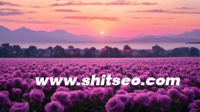 小紅書代運營合同模板