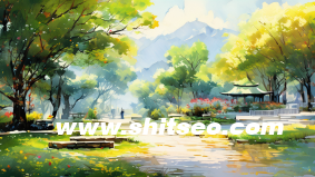 外貿網站優化要注意哪些方面