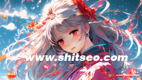 seo網(wǎng)絡(luò)營銷推廣方案