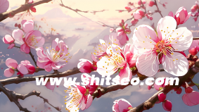 小紅書運營業務，從0到1的策略與實戰經驗