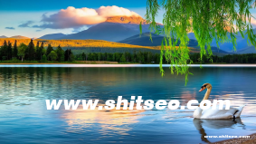 開封網站優化：提升網站性能與用戶體驗的關鍵策略