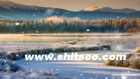 自媒體運(yùn)營策劃服務(wù)：提升品牌曝光與影響力的有效策略