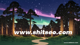 懷化網絡推廣：提升企業在線影響力的必備策略