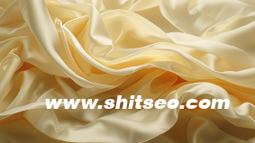 網站優化url建議指導