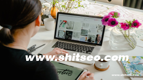 網(wǎng)絡(luò)營銷報告：趨勢、策略與未來發(fā)展