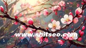 運營小紅書，打造成功的企業品牌