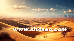 人力資源信息系統(tǒng)的作用