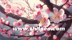 小紅書，引領社交電商新潮流的運營公司