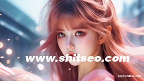 外貿推廣seo是什么意思