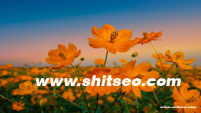 一文秒懂：門不隔音怎么辦