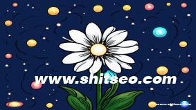 石家莊網站優化——助力企業數字化轉型，提升品牌競爭力