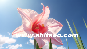 小紅書(shū)電商運(yùn)營(yíng)，打造高效增長(zhǎng)策略與實(shí)踐