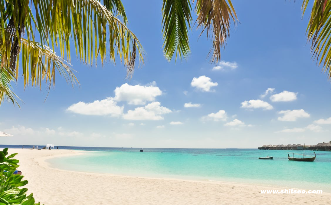 Excel在線：高效辦公新方式，提升數據處理效率