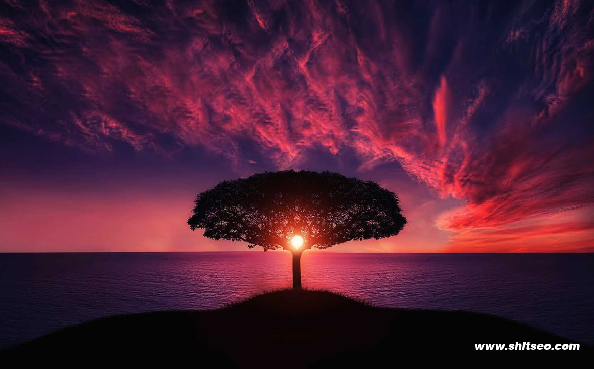 外貿(mào)企業(yè)郵箱：提升國際溝通效率的關(guān)鍵工具