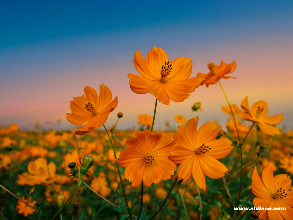 a96a49c1584d484a9a3bc38286f1d484_0 a96a49c1584d484a9a3bc38286f1d484_0