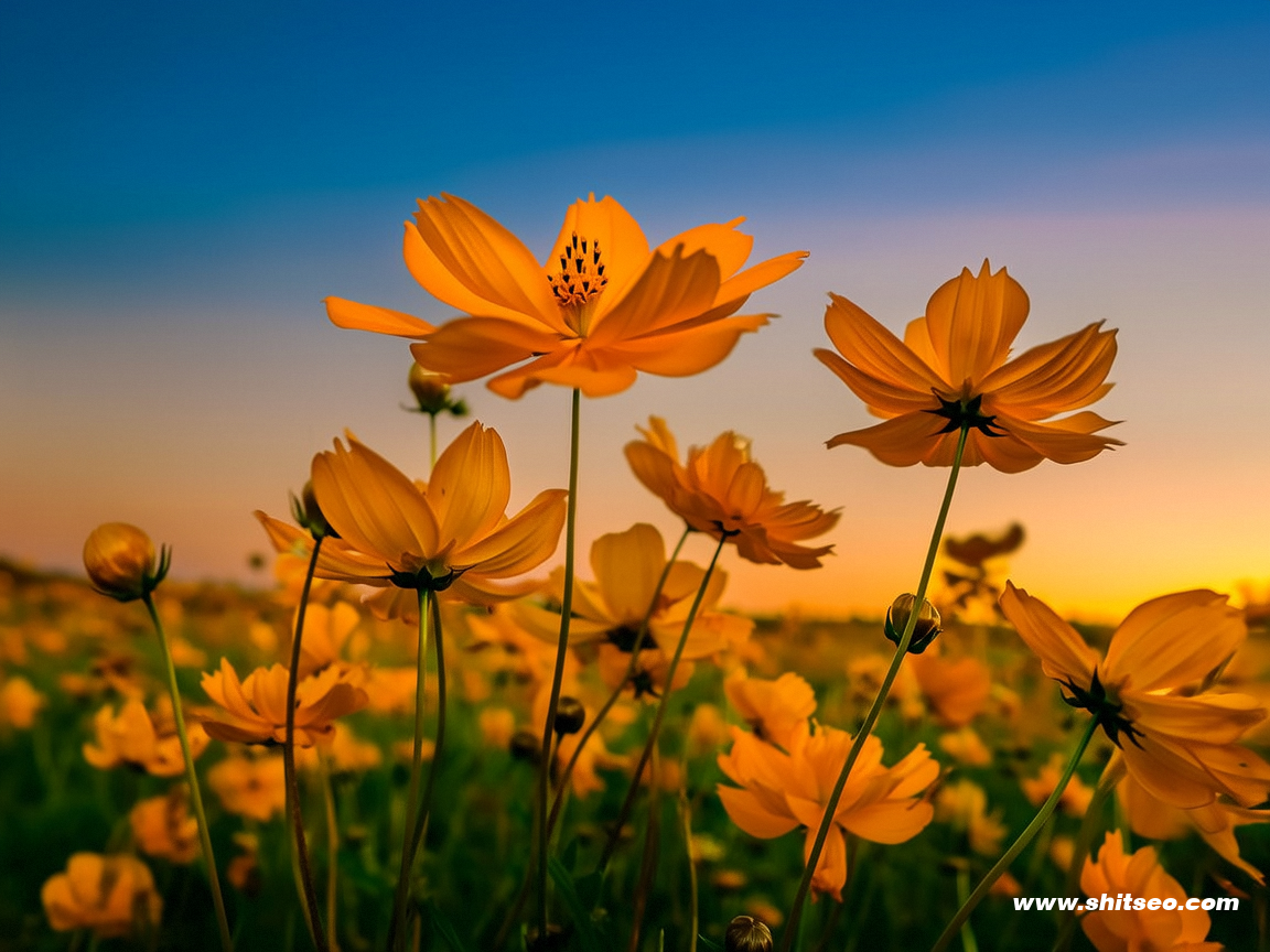 a96a49c1584d484a9a3bc38286f1d484_1 a96a49c1584d484a9a3bc38286f1d484_1